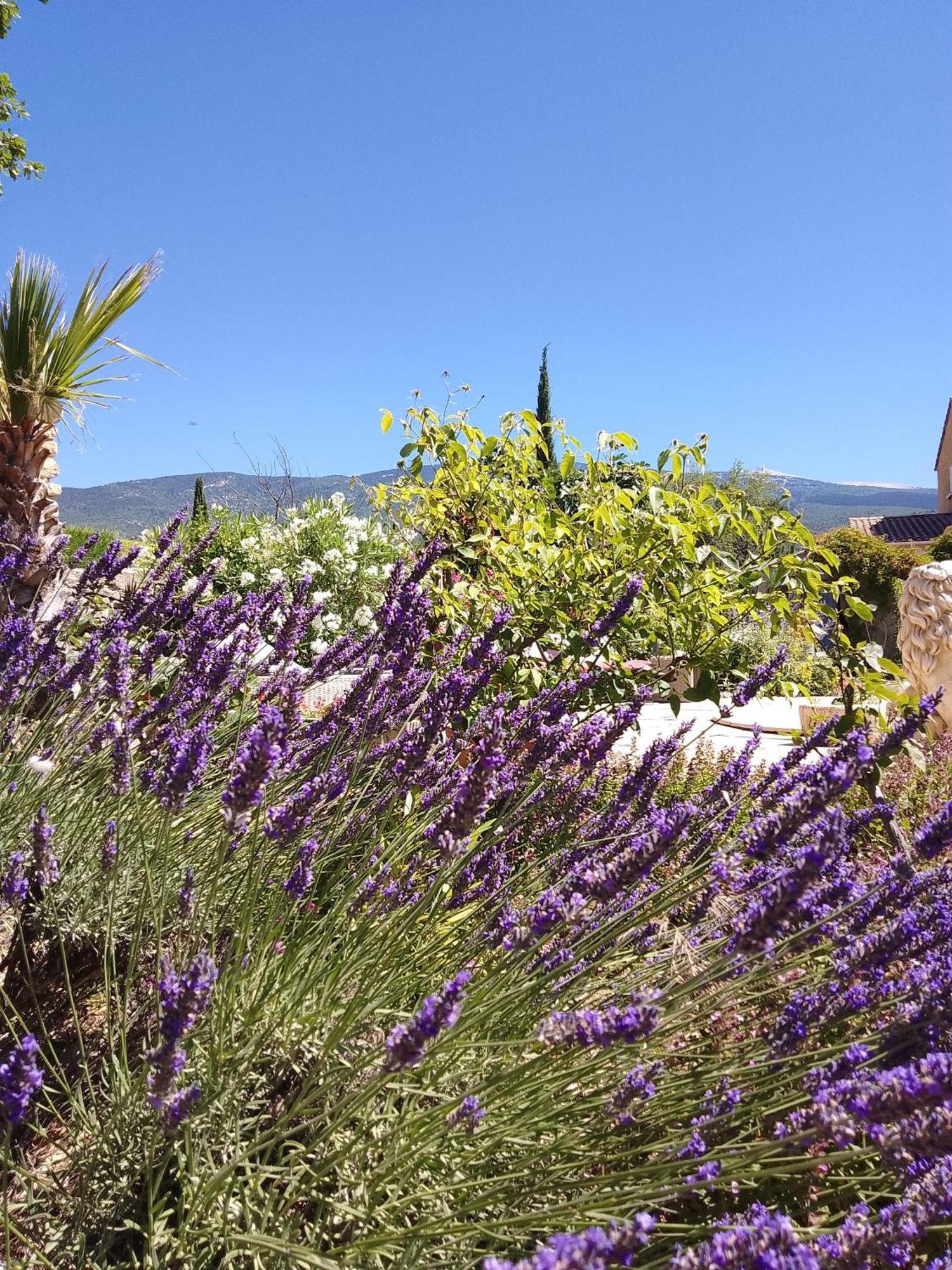 Les Gites Du Mont Ventoux Bédoin Dış mekan fotoğraf